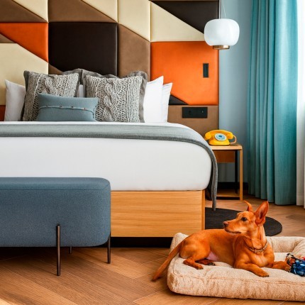 wellspaces forum cuadrado.jpg